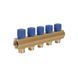 Icma колектор розподільний з регулювальними вентилями № 1105. 1"х5 (Blue) SD00049608 фото 1